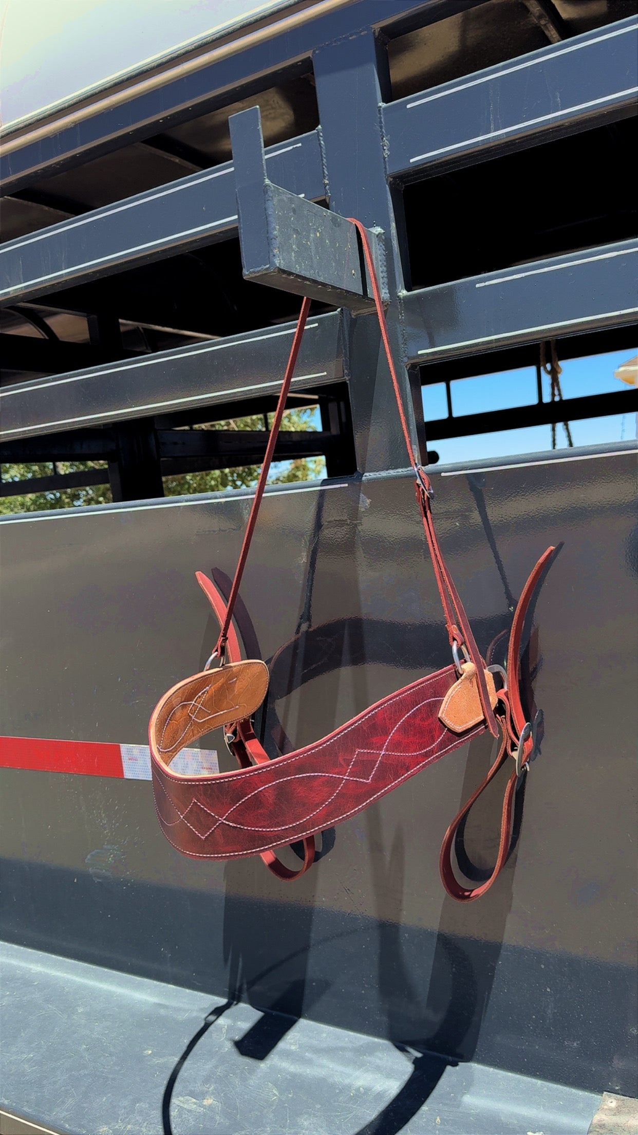 Arizona Tripping Collar